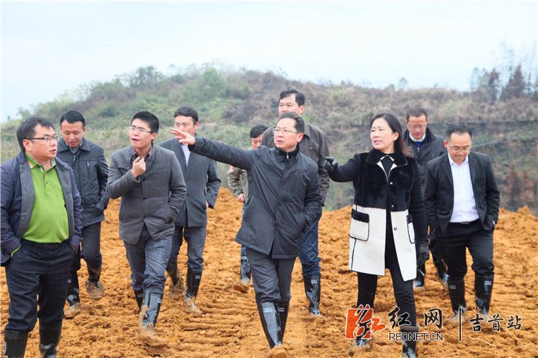 刘珍瑜现场调度重点项目建设情况