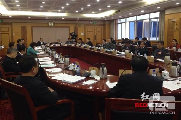 分组审议现场。