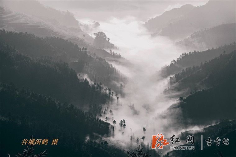 山中晨雾_副本.jpg