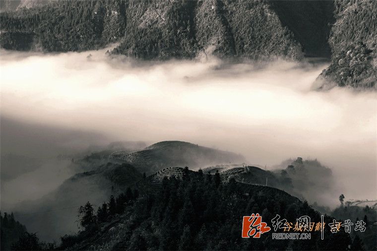 120428q5ri3p3rcvw68zct_副本.jpg