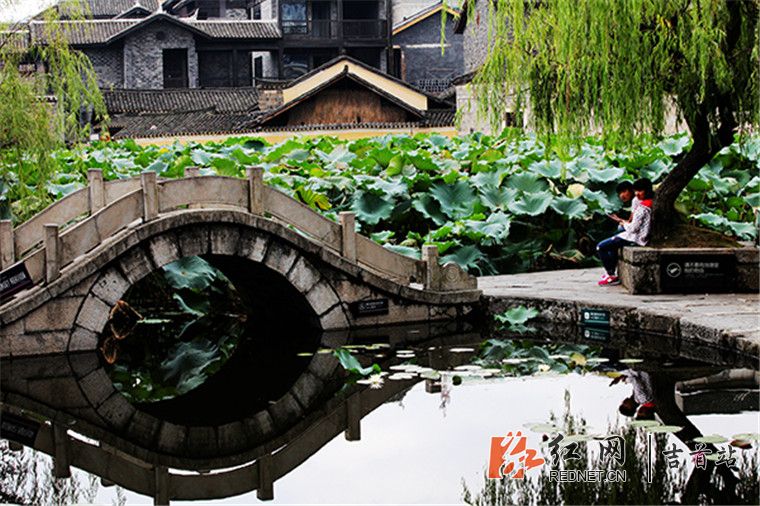 161432hsuow5giow6i09ik_副本.jpg
