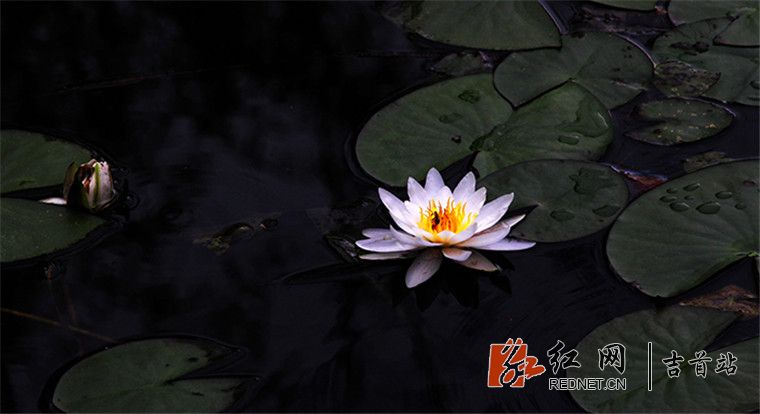 161440v6q5of7zvdfsqq06_副本.jpg
