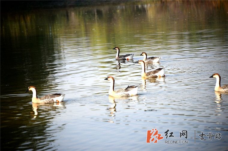 135215j9d66jzcpp4p6ucp_副本.jpg