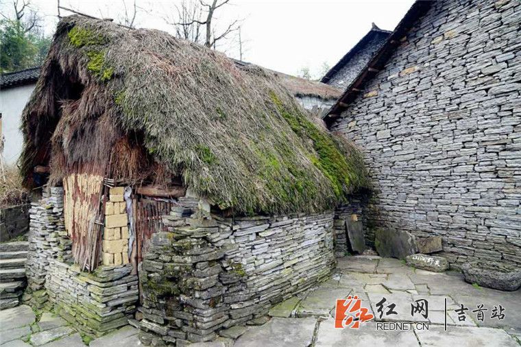 013243qag1ngcp16g86cpn_副本.jpg
