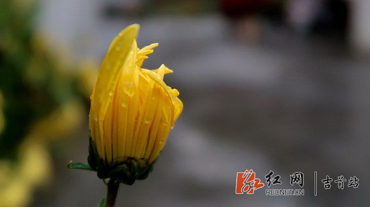 IMG_0927_.jpg