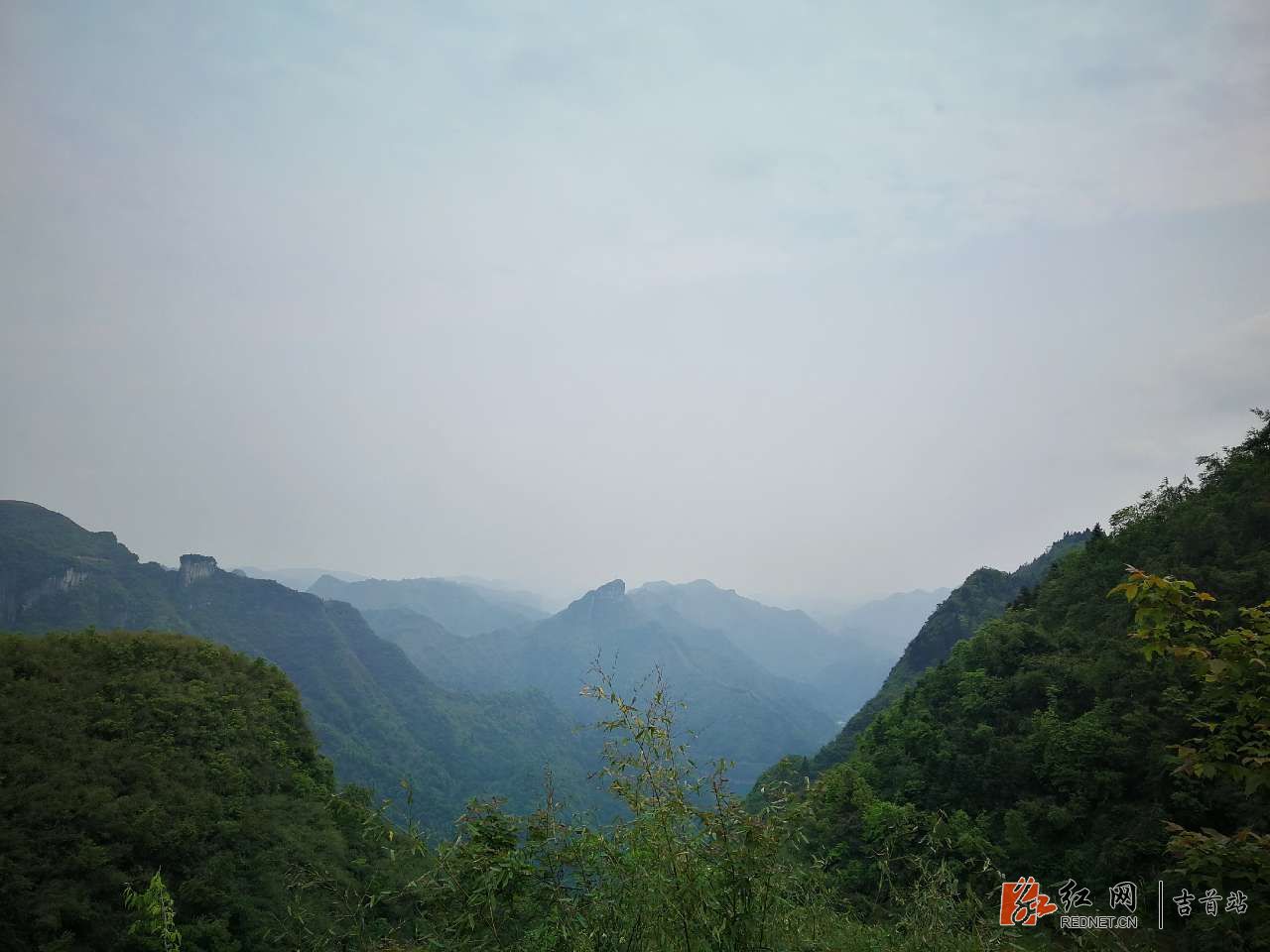 20180428_320489_1524922432376.jpg