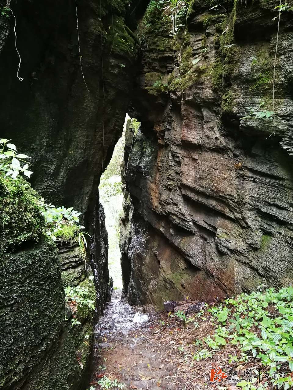 20180428_320489_1524922432681.jpg