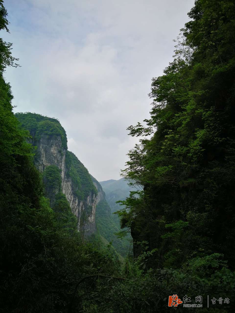 20180428_320489_1524922433054.jpg