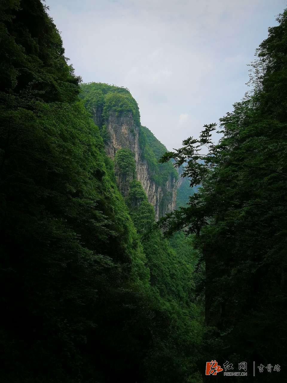 20180428_320489_1524922433218.jpg