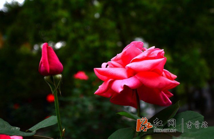 DSC_9131.JPG