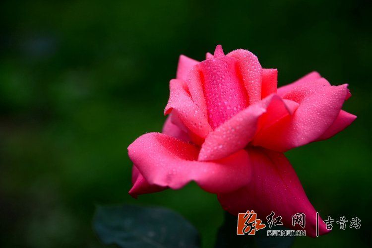 DSC_9157.JPG