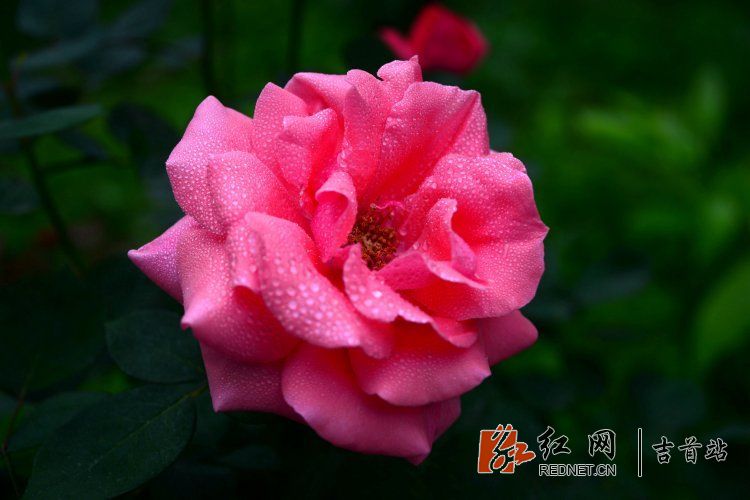 DSC_9156.JPG