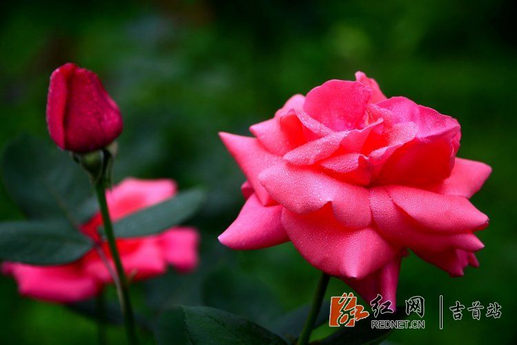 DSC_9158.JPG