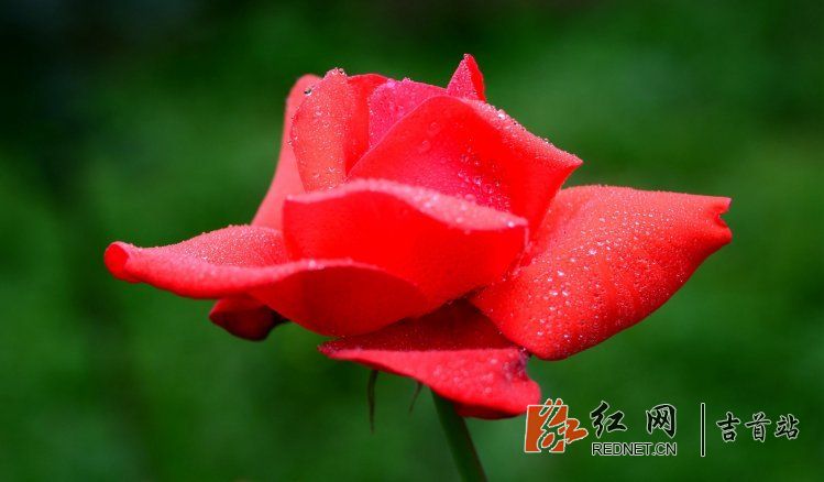 DSC_9160.JPG