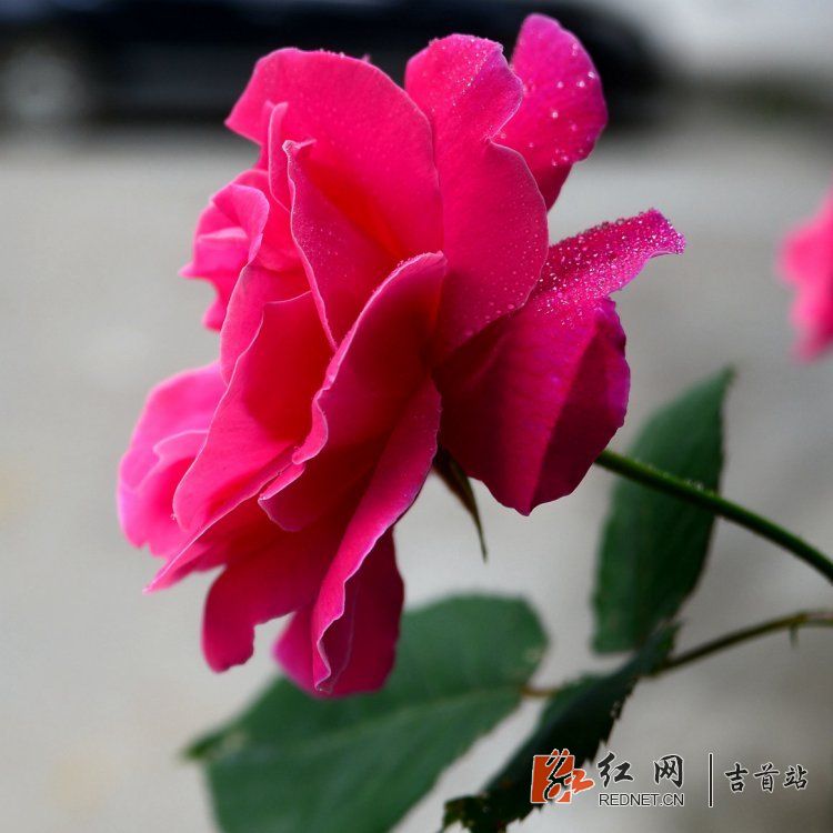 DSC_9170.JPG