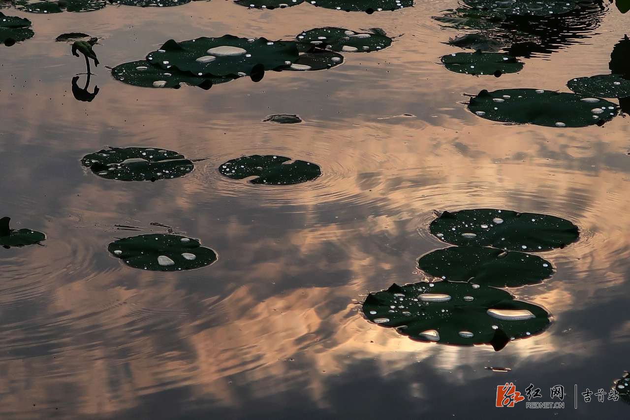 20180518_38801_1526653713570.jpg