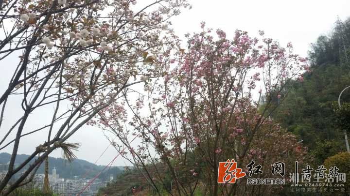 QQ图片20180416112535.jpg